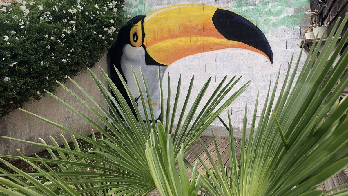 Marsilly Condo | The house of the Toucan - homestays