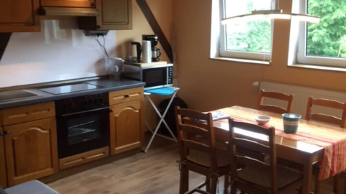 Schwerin Apartment | The house on the lake, idyllic location, with a Beach, swimming area, kitchen