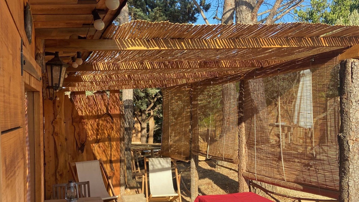Apt Cabin | The Hut of Happiness
