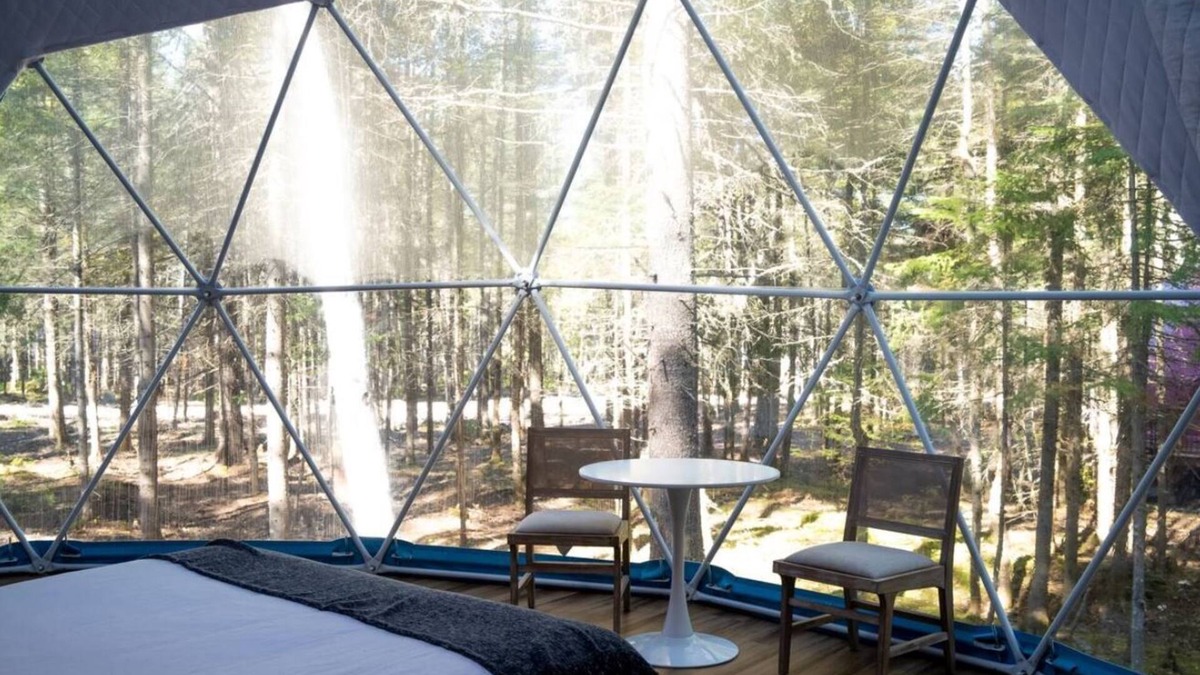 Queens County Cabin | The Indigo