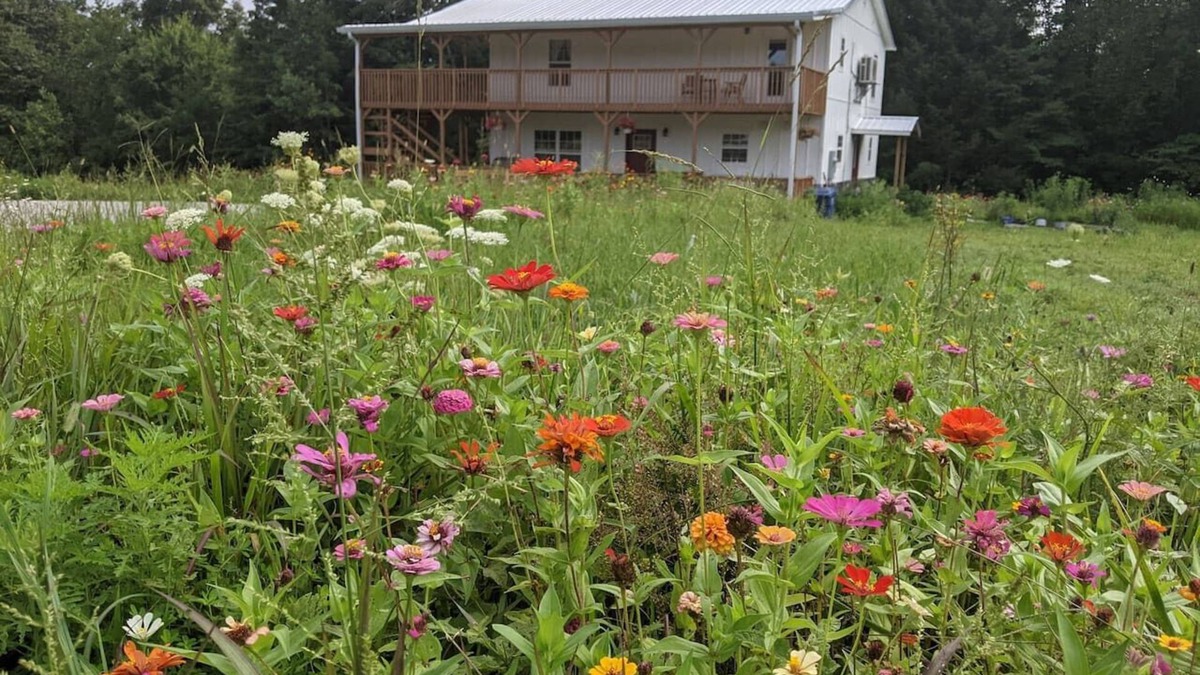 Whitley City Bed & Breakfast | The Inn at Beulah Farm - The Coop