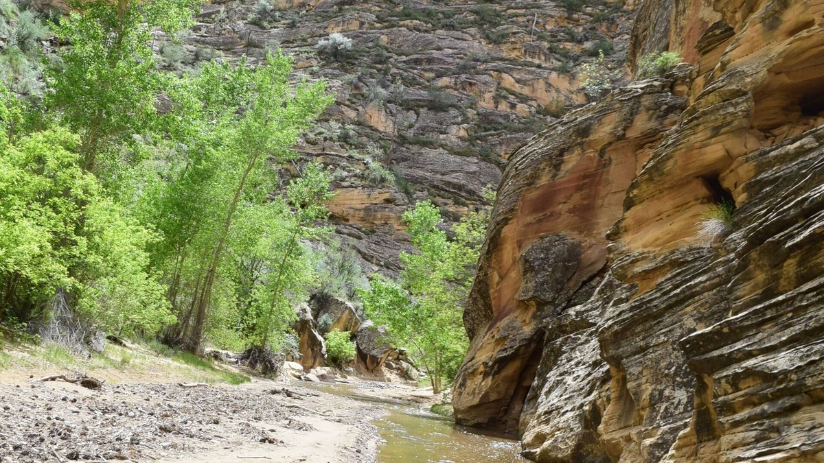 Escalante Hotel | The INN of Escalante