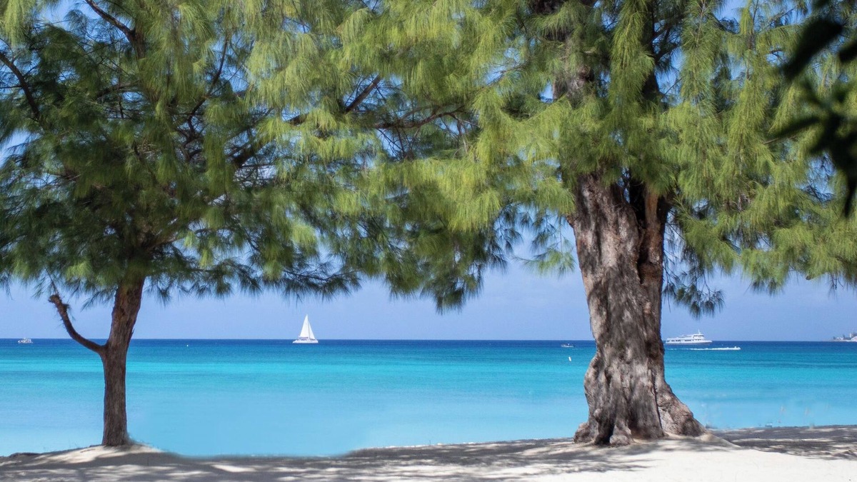 Seven Mile Beach Apartment | The Islands Club