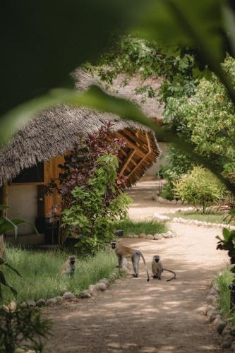 Mto wa Mbu Cabin | The Jungle Pearl Resort