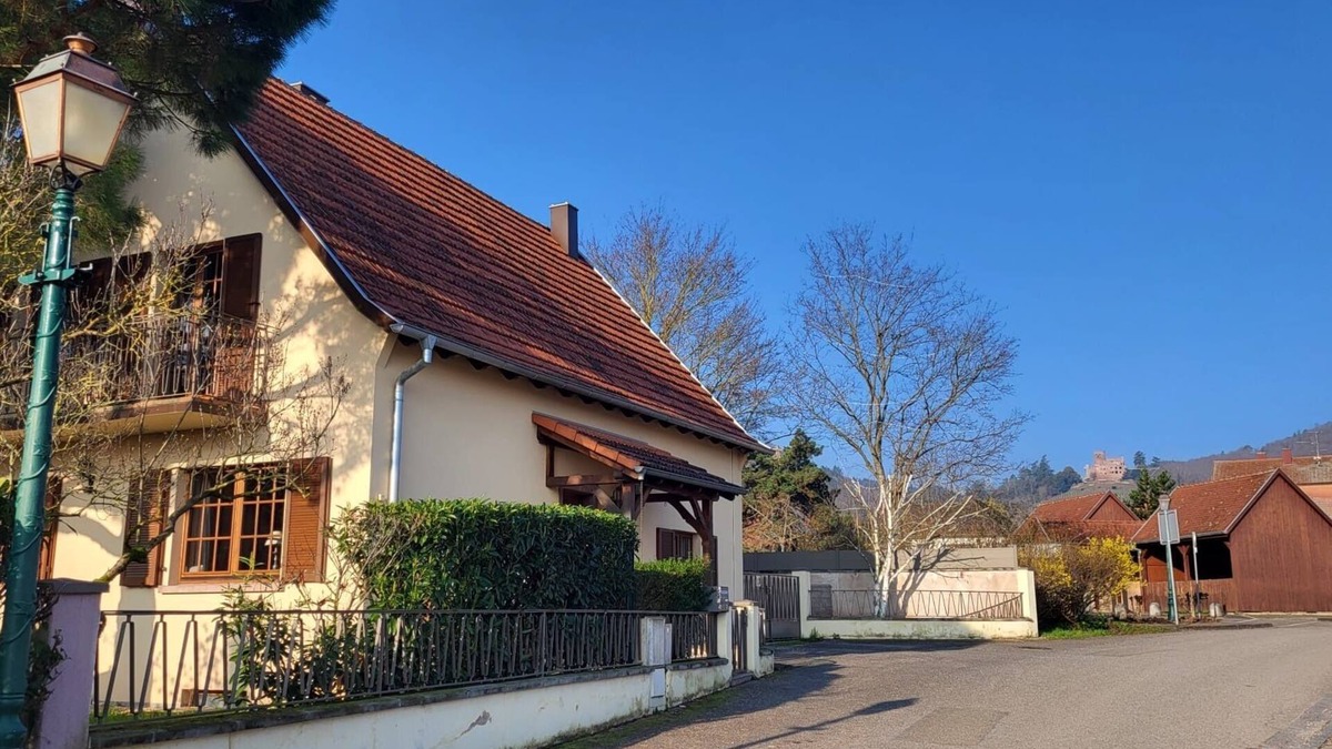 Kintzheim Apartment | The Kintzheim Refuge. Vineyards, châteaux and cycle routes. Pets free.