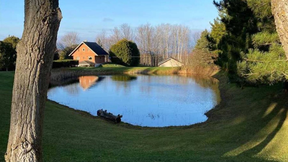 Meaford Cottage | The Kutir - Entire Cottage - 6 Privacy Acres in Meaford - 5 Mins to Georgian Bay