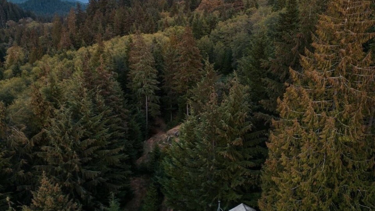 Bowen Island Cabin | the legendary Wildwood Cabins - Cabin 1