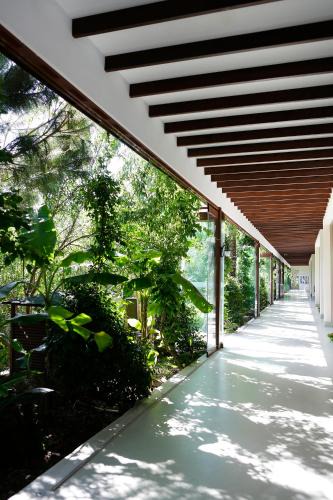 Golturkbuku Hotel | The LifeCo Bodrum Well-Being Detox Center and Vegan Hotel