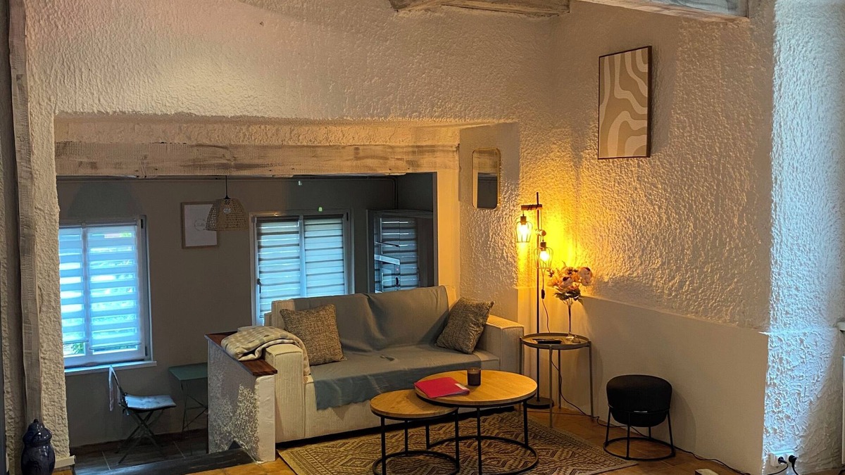 Belfort Apartment | The lion's cocoon