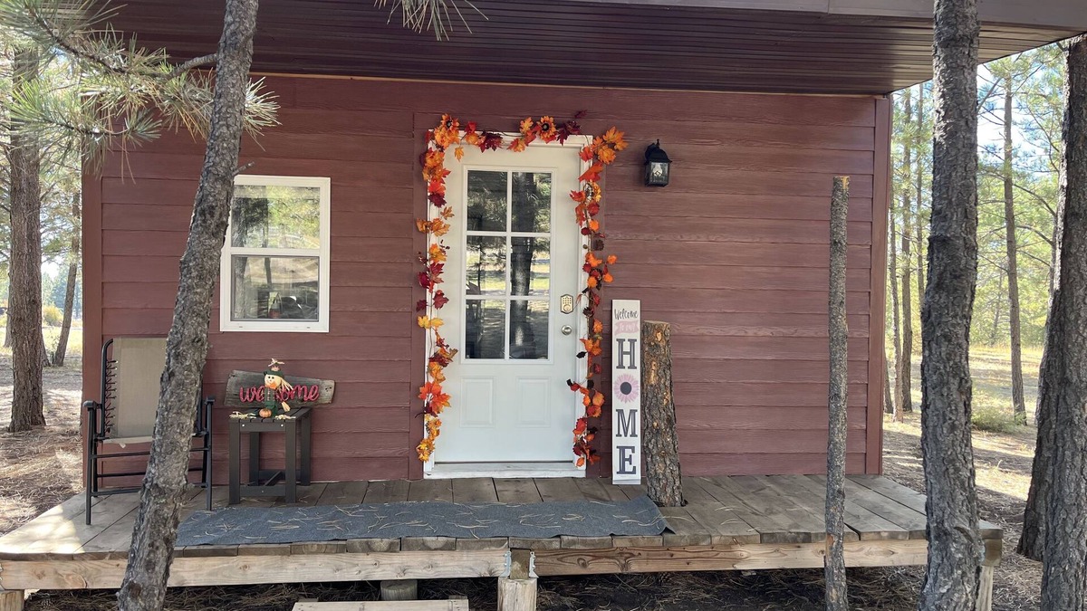 Edgemont Cabin | The little cabin in the woods! Nearby great trails and hunting!