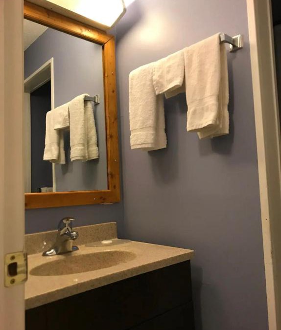 Brandon Hotel | The little chalet motel