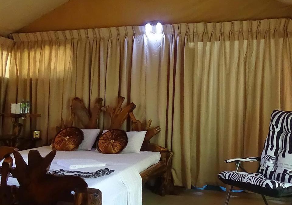 Palatupana Other | The Little Gecko camping lodge