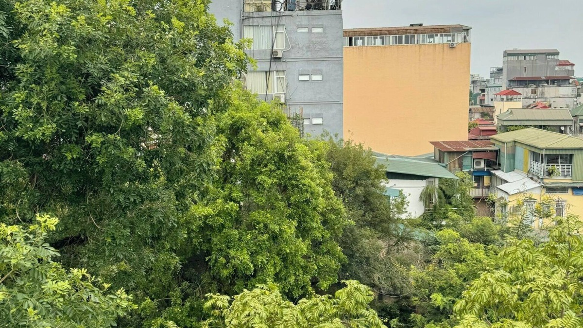 Hang Bo Apartment | The Little Hanoi
