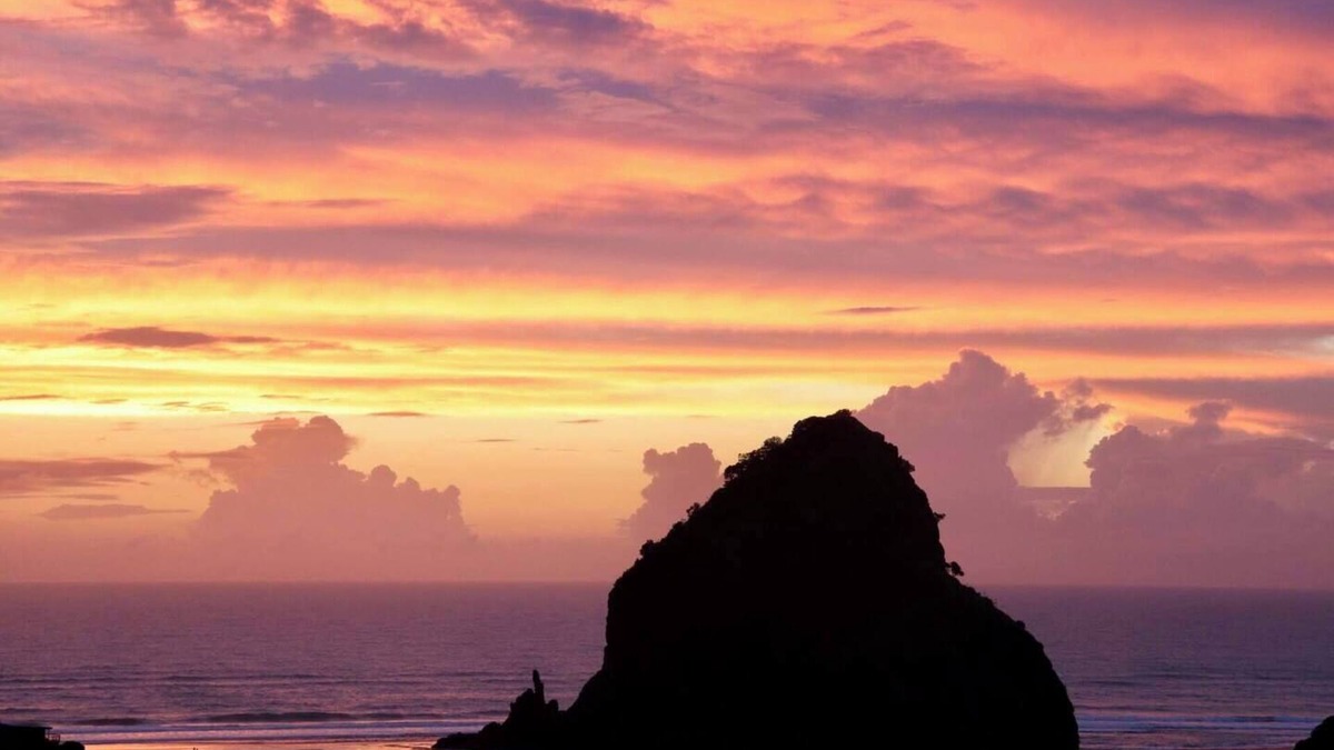 Piha House | The Little Louise's of Piha