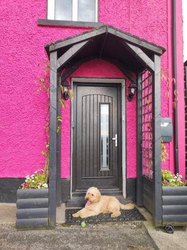 South Tipperary House | The little pink house