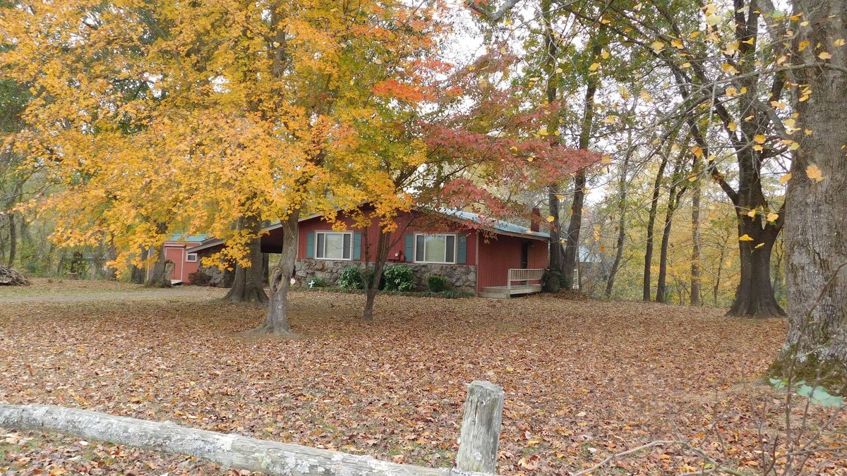 Pangburn Cabin | The Little Red Cabin