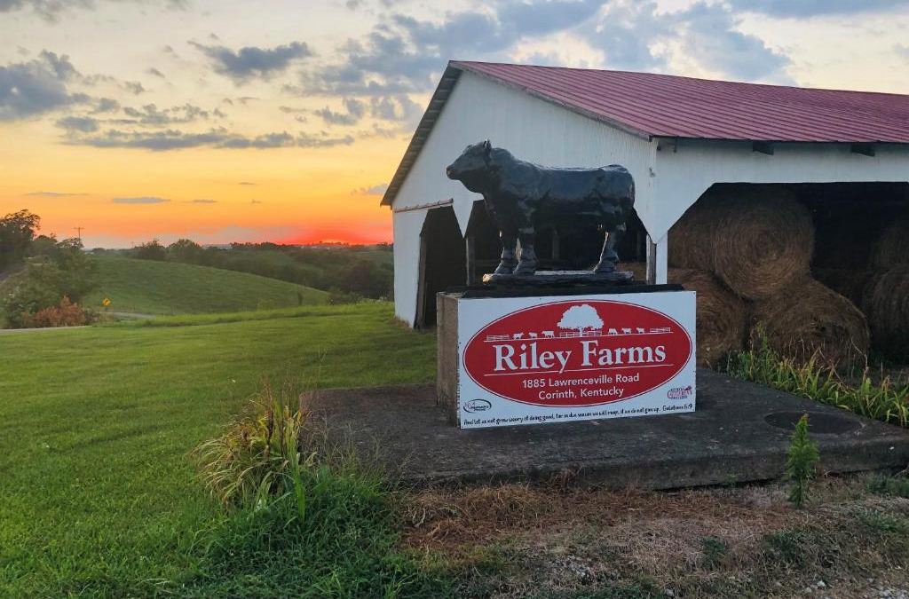 Jonesville House | The Lodge @ Riley Farms, Comfort & Rest close to The Ark