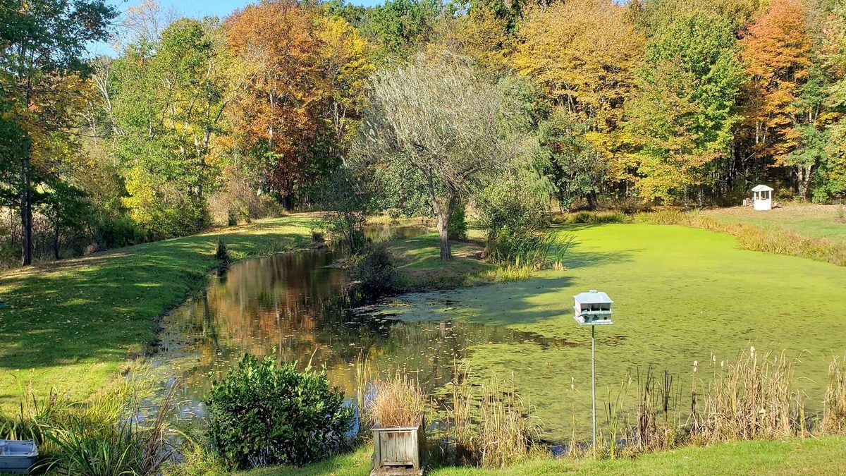 Tillson Apartment | The Loft at 'Blue Heron Watch' Nature Getaway