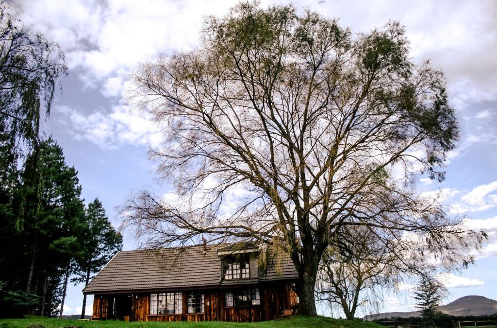 Kwa Sani House | The Log Cabin at Elgin