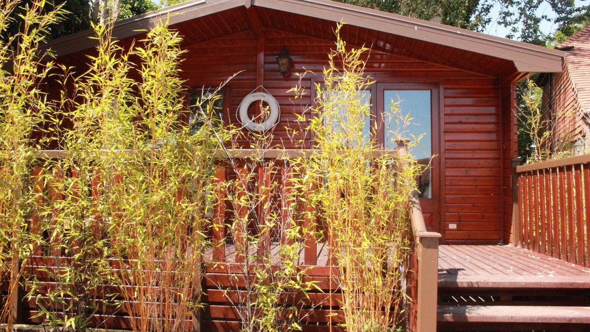 Rye Foreign Apartment | The Log Cabin - The Kings Head Rye