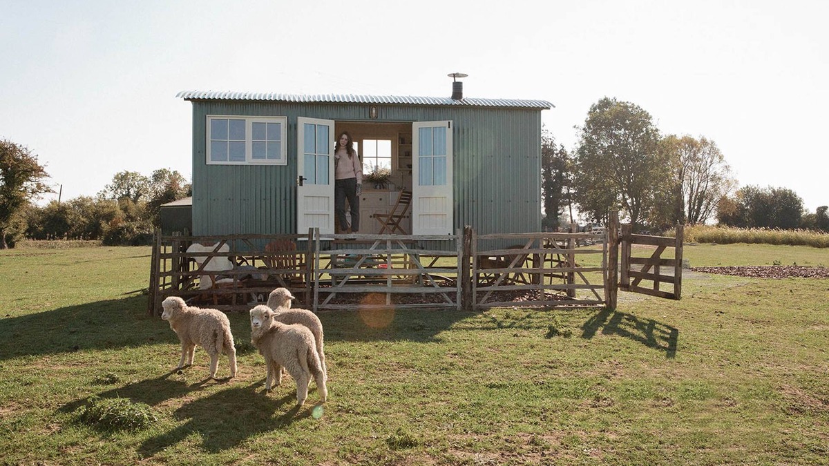 St Mary's Bay Cabin | The Lookerer by Bloom Stays - a rural shepherds hut with amazing views!