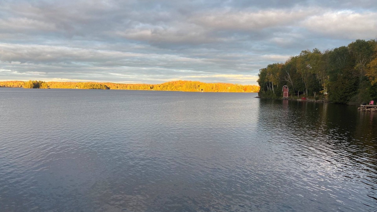 Wollaston Cottage | The Loon Song-Stunning 4-Season Waterfront Cottage With Private Dock & Tiki Bar