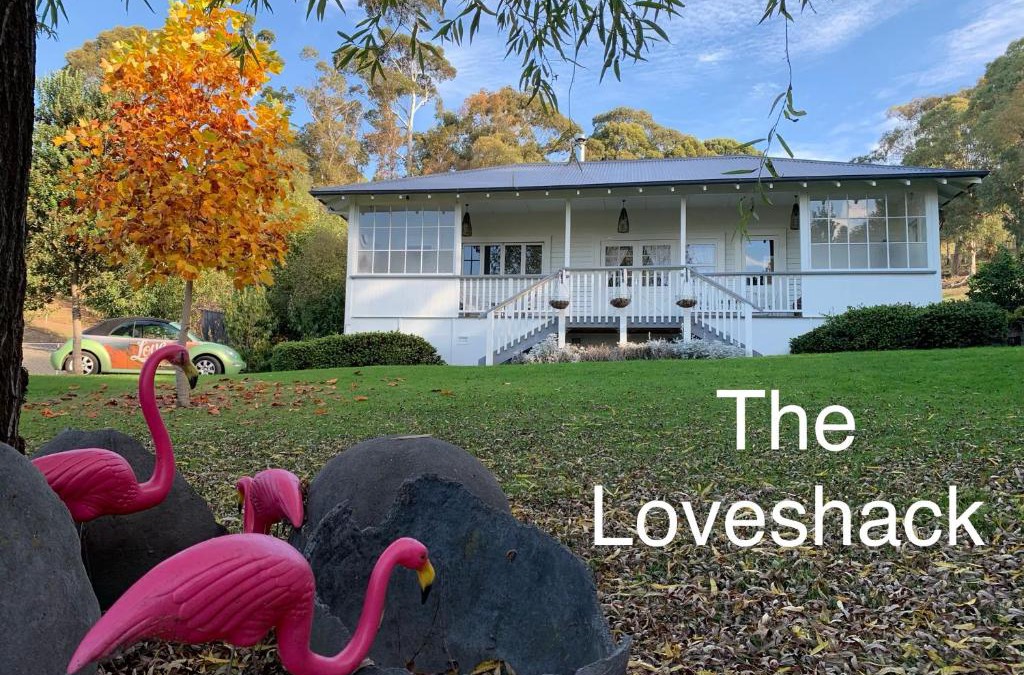 Havelock North House | The Loveshack