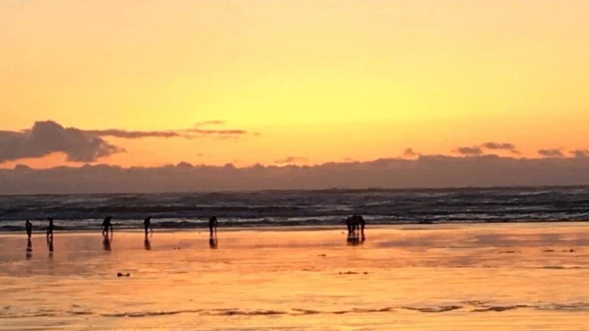 Copalis Beach Hotel | The Lowtide Motel