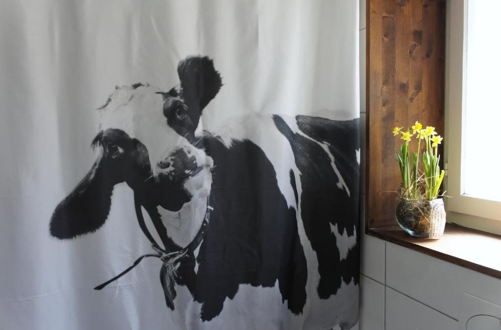 Boenigen Apartment | The Mad Cow