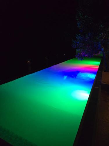 Real Resort | The Mangrove Tree Boutique Beach Resort
