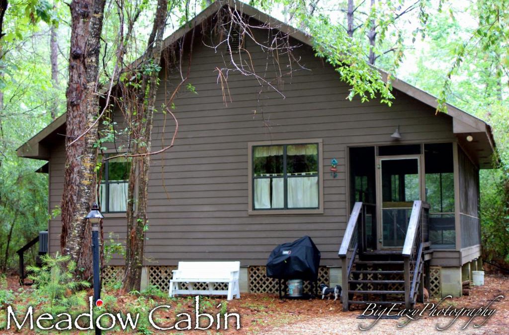Folsom Bed & Breakfast | The Meadow Cabin