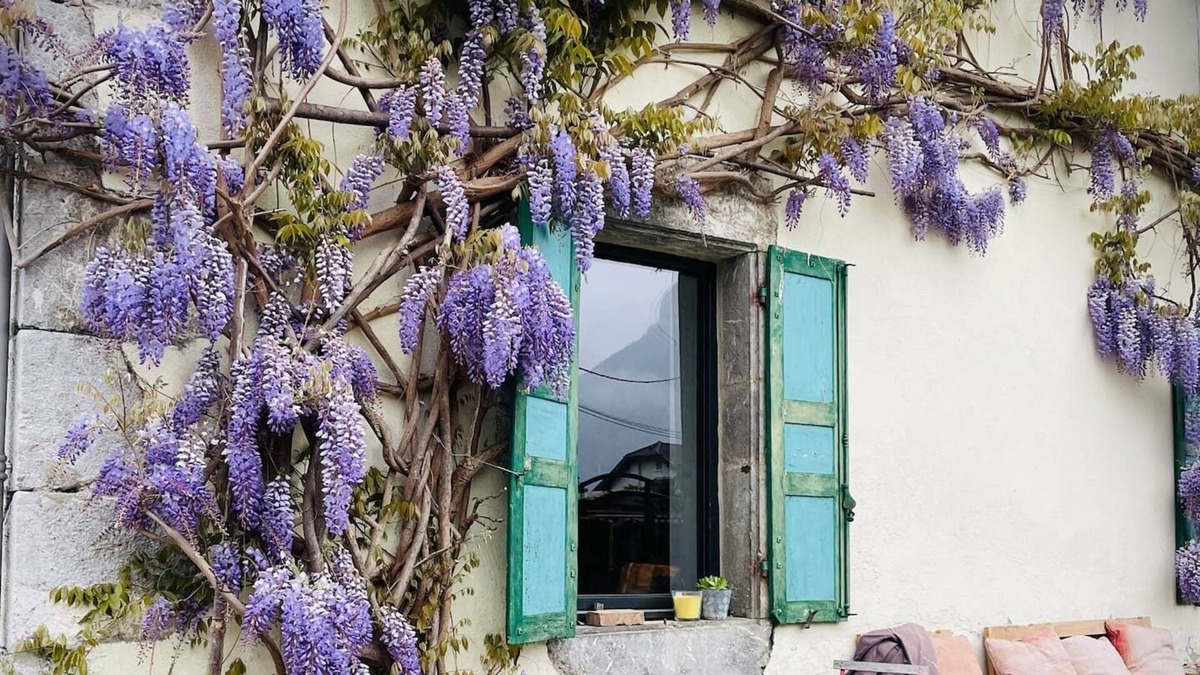 Verthier House | The mill house