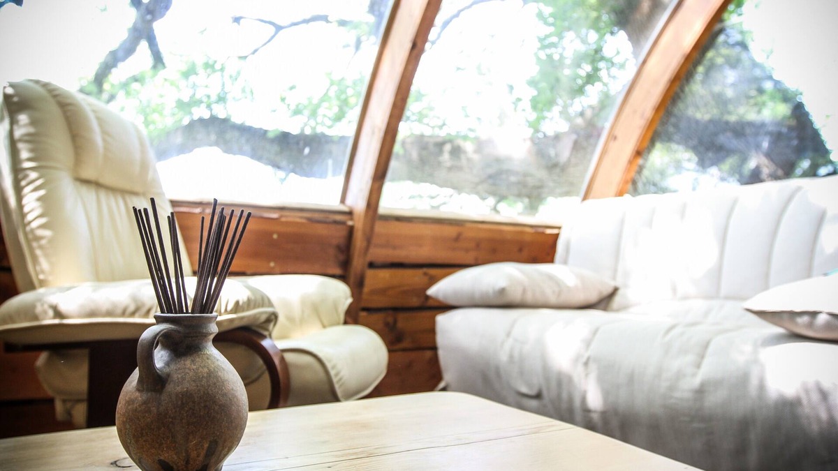 Millau Cottage | The Millau hut, a unique experience in the trees