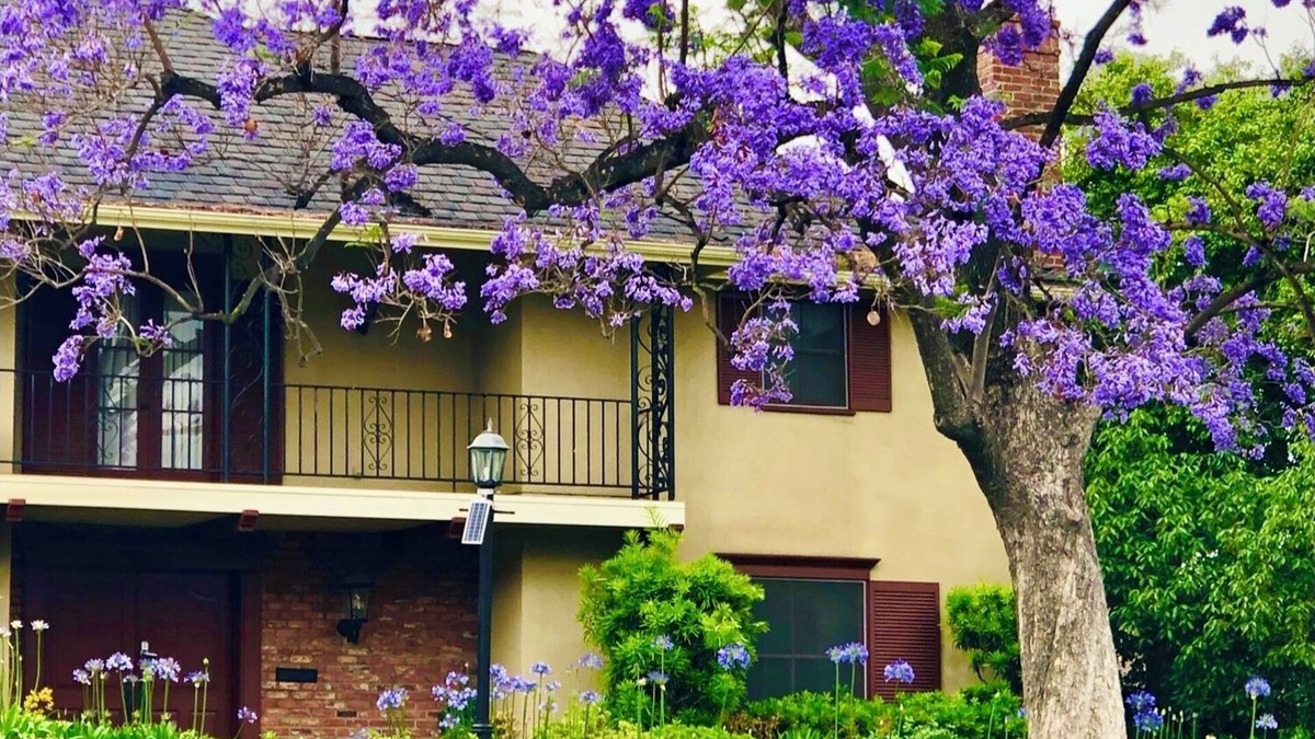 East Pasadena House | The“moving castle”,a French-style gem nestled in Pasadena