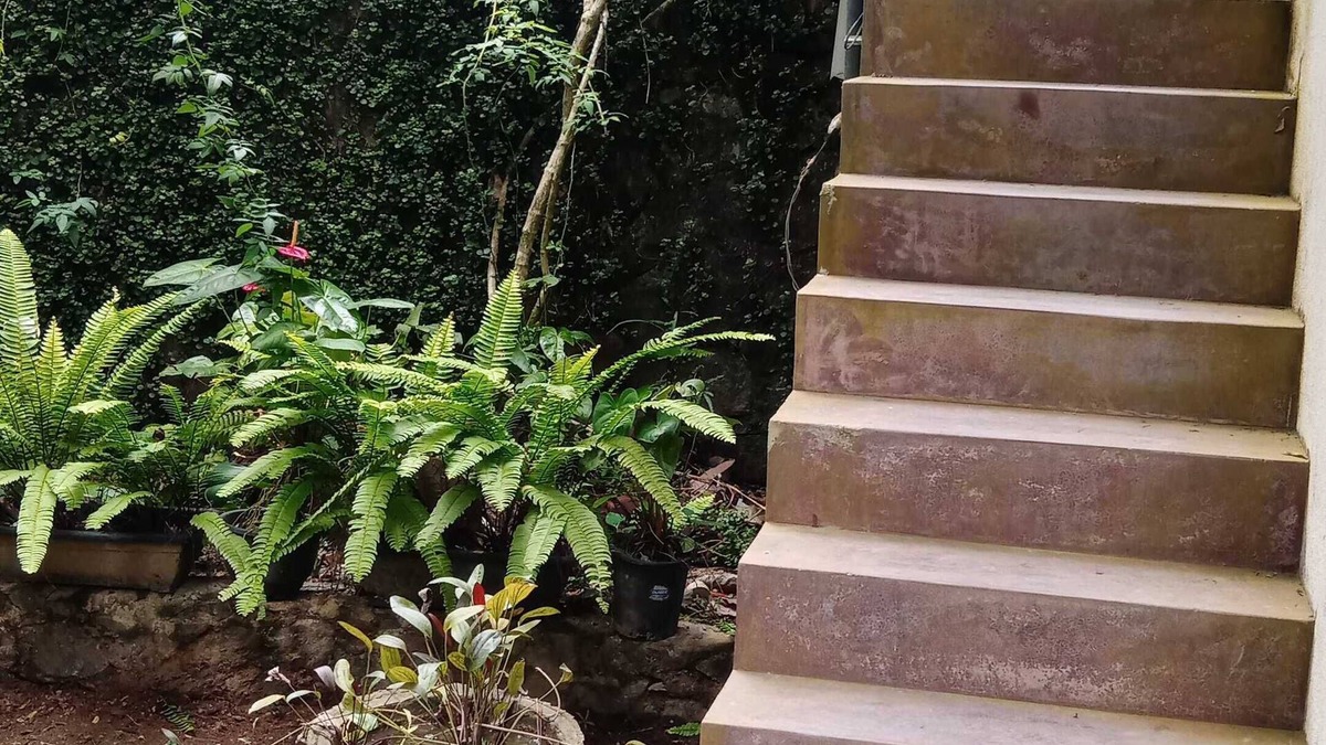 Wanchawala Villa | The Nature with nature