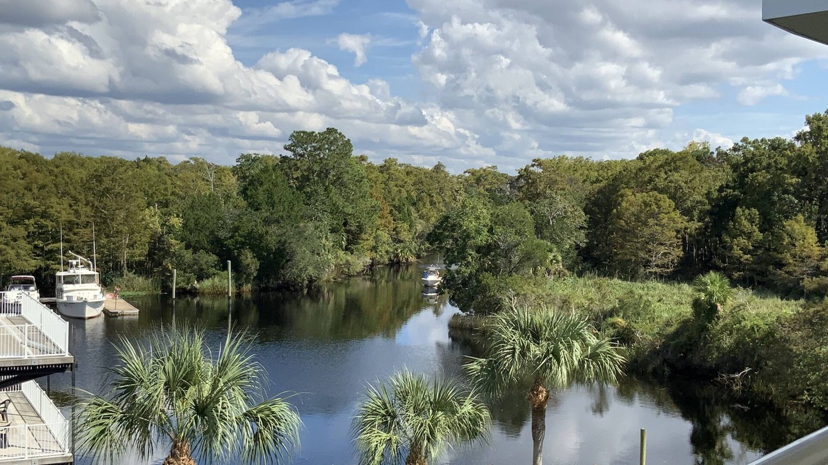 Suwannee Condo | The Nauti Angler - Suwannee Cove where the River meets the Gulf - Unit 203 - 3BR