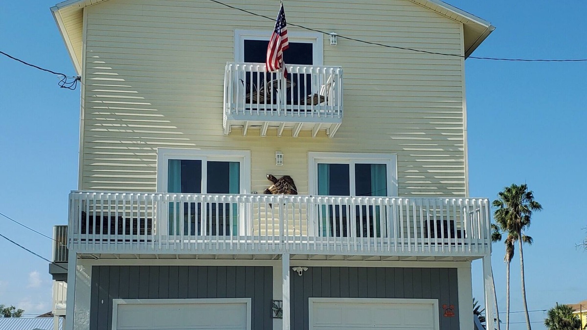 Hudson House | The Nauti Mermaid