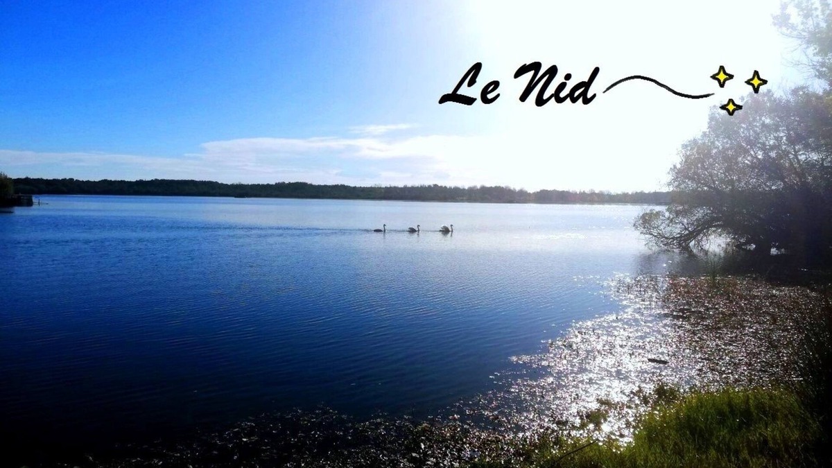 Aureilhan Apartment | The Nest of the Lake