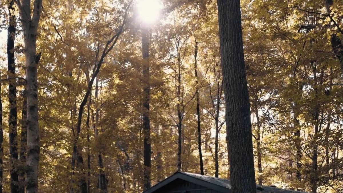 Joelton Cabin | The Nordic Villa Hideaway with Hot Tub + Sauna!