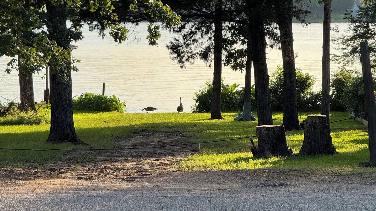 Murchison House | The Oak House with lake view. E. Tx , Tyler,Canton, Athens, areas. Private lake.