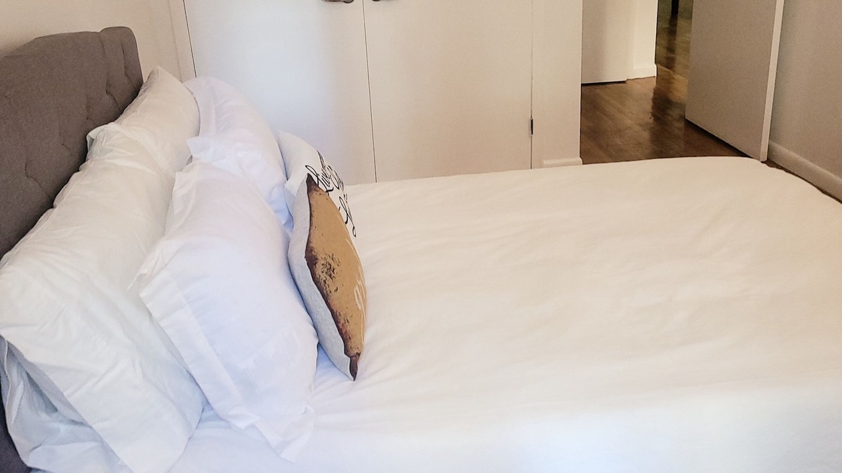 West Bronx Apartment | The Oasis 1 Bedroom