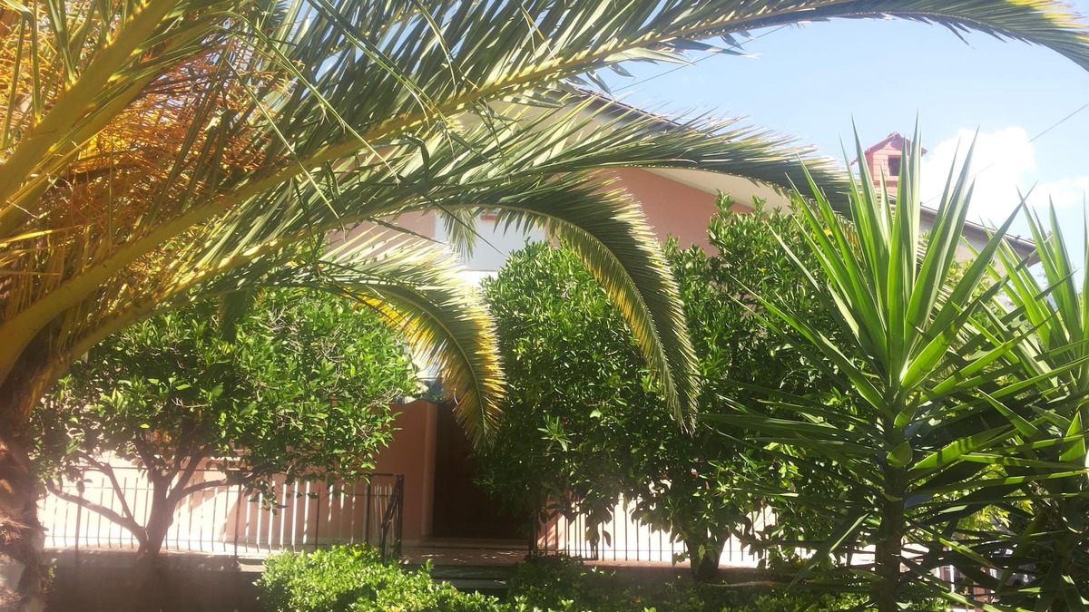 Querceta Villa | THE OASIS OF PEACE BETWEEN THE APUAN AND FORTE DEI MARMI