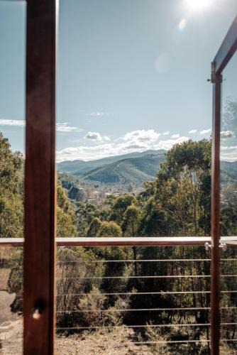 Bright Cabin | The Odd Frog