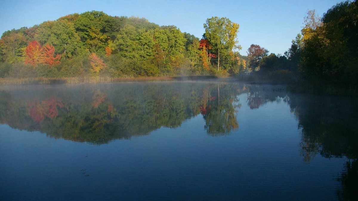 Newaygo Cabin | The Old Dam Inn - A Spacious Waterfront Retreat in Northwestern Michigan