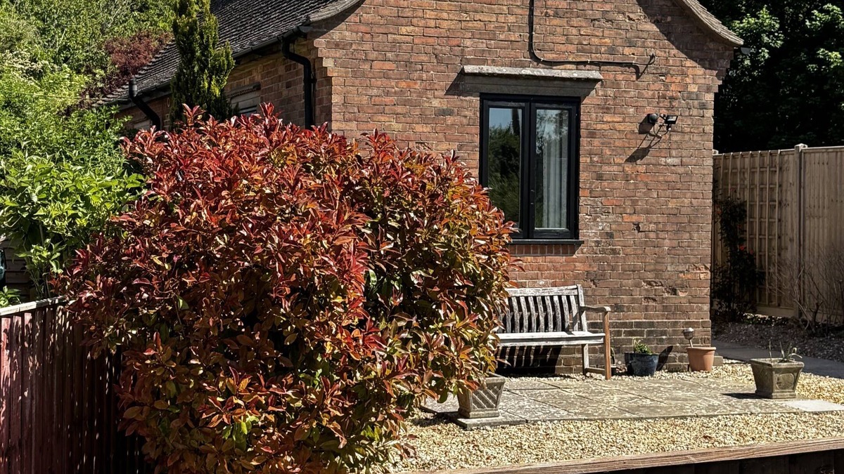 Witchampton Cottage | The Old Exchange - Cosy country cottage in Dorset