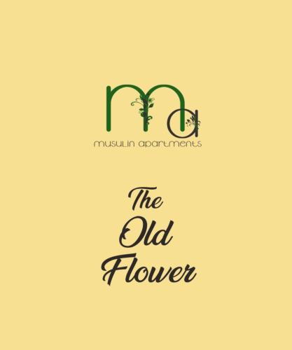 Gheorgheni Apartment | The Old Flower