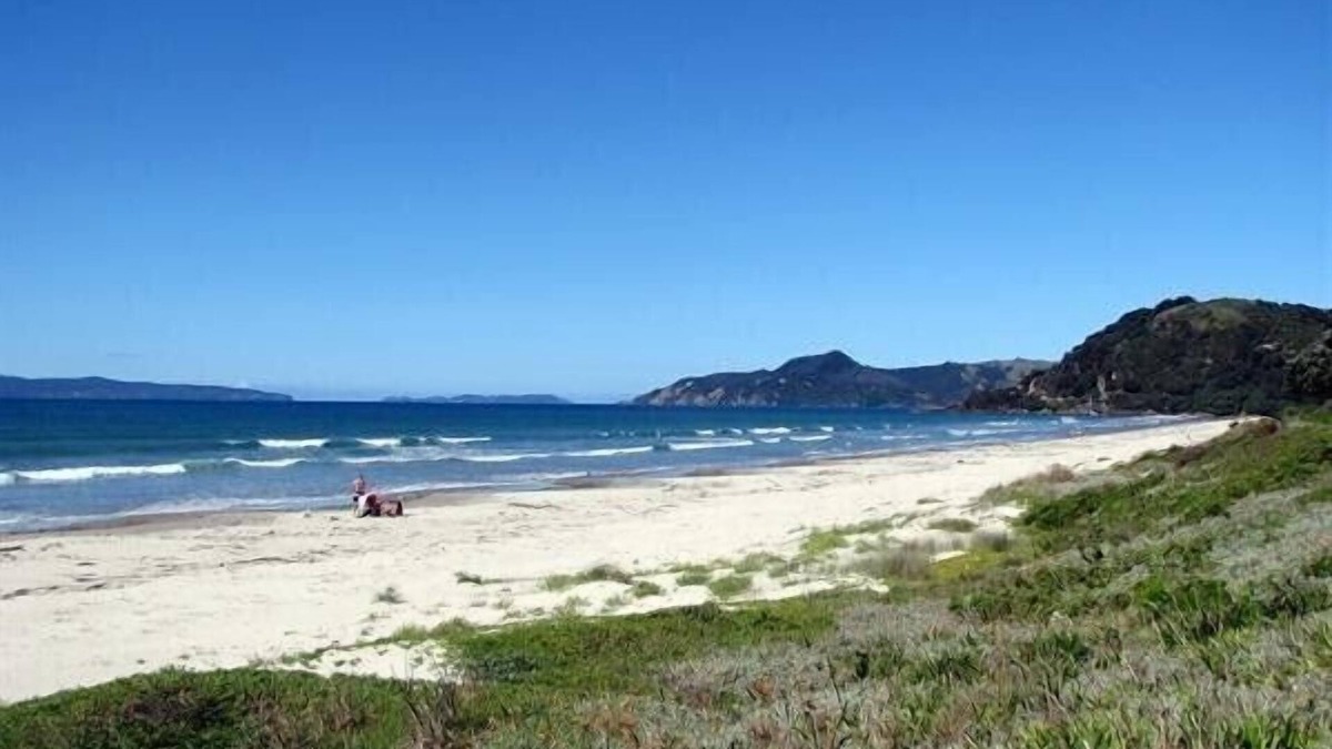 Matarangi Cottage | The Olive Grove Retreat - Matarangi Holiday Unit