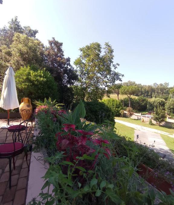Cassia Villa | The Olive Grove Roma Guest House