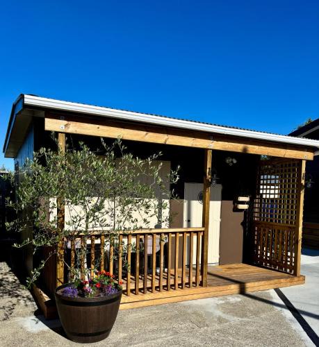 Whakatane Apartment | The Olive Tree Shed