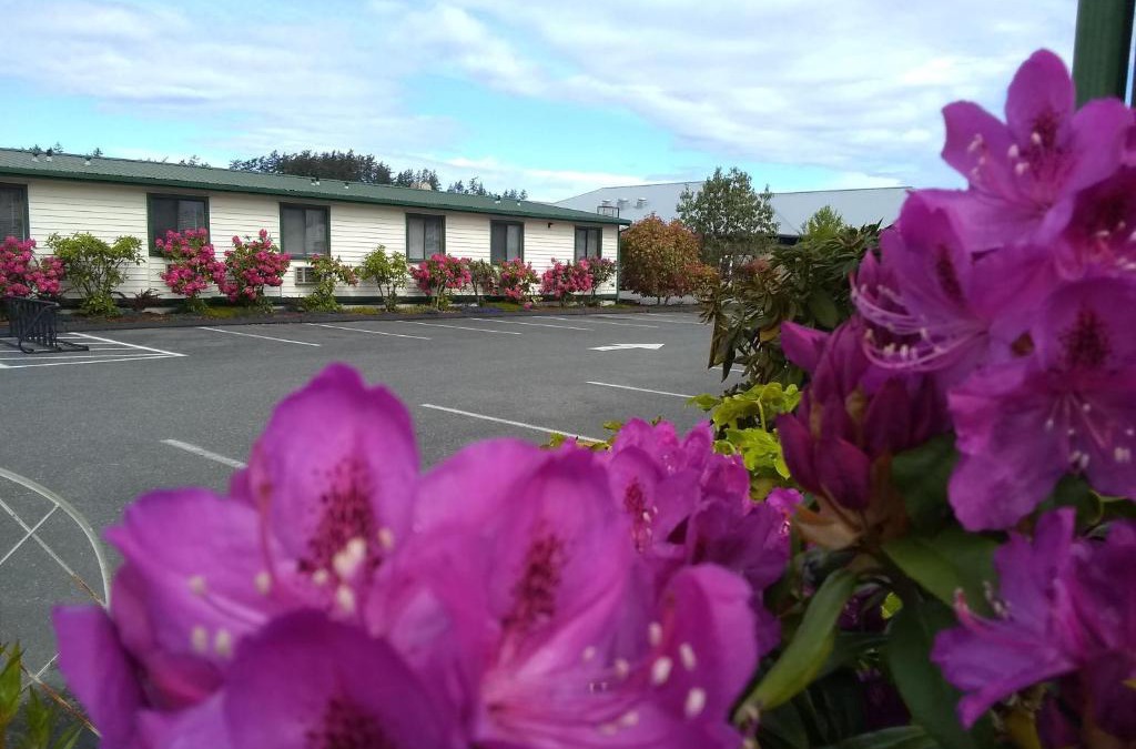 Friday Harbor Hotel | The Orca Inn